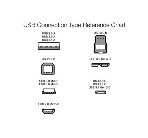 bon prix Amazon Basics - Câble adaptateur convertisseur femelle USB-C vers USB-A 3.1 Génération 1 - Vitesse de 625 Mo/s - Certifié USB-IF - Pour ordinateurs portables, tablettes, téléphones - Blanc GU0r4ePlK pas cher