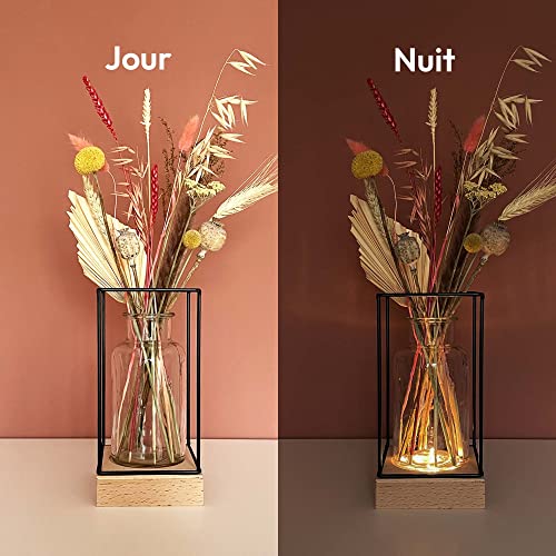 vente chaude Gadgy® l Vase en Verre transparant avec lumière | Vase décoratif Transparent avec Base en Bois Naturel et Cadre en métal | 22,5 x 10,8 x 10,8 iBXJj1p4W en ligne